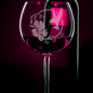 Limited Edition Hand-Etched Red Wine Glass with Hummingbird and Hibiscus Design | 18.5oz - Expressive DeZien 